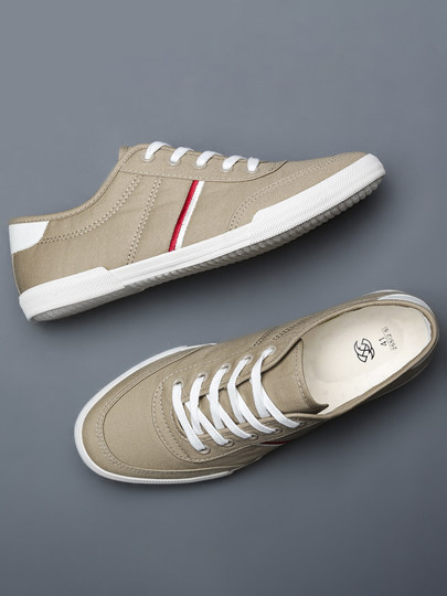 Canvas shoes men's spring breathable driving soft-soled white shoes men's sneakers Korean version versatile flash new casual shoes