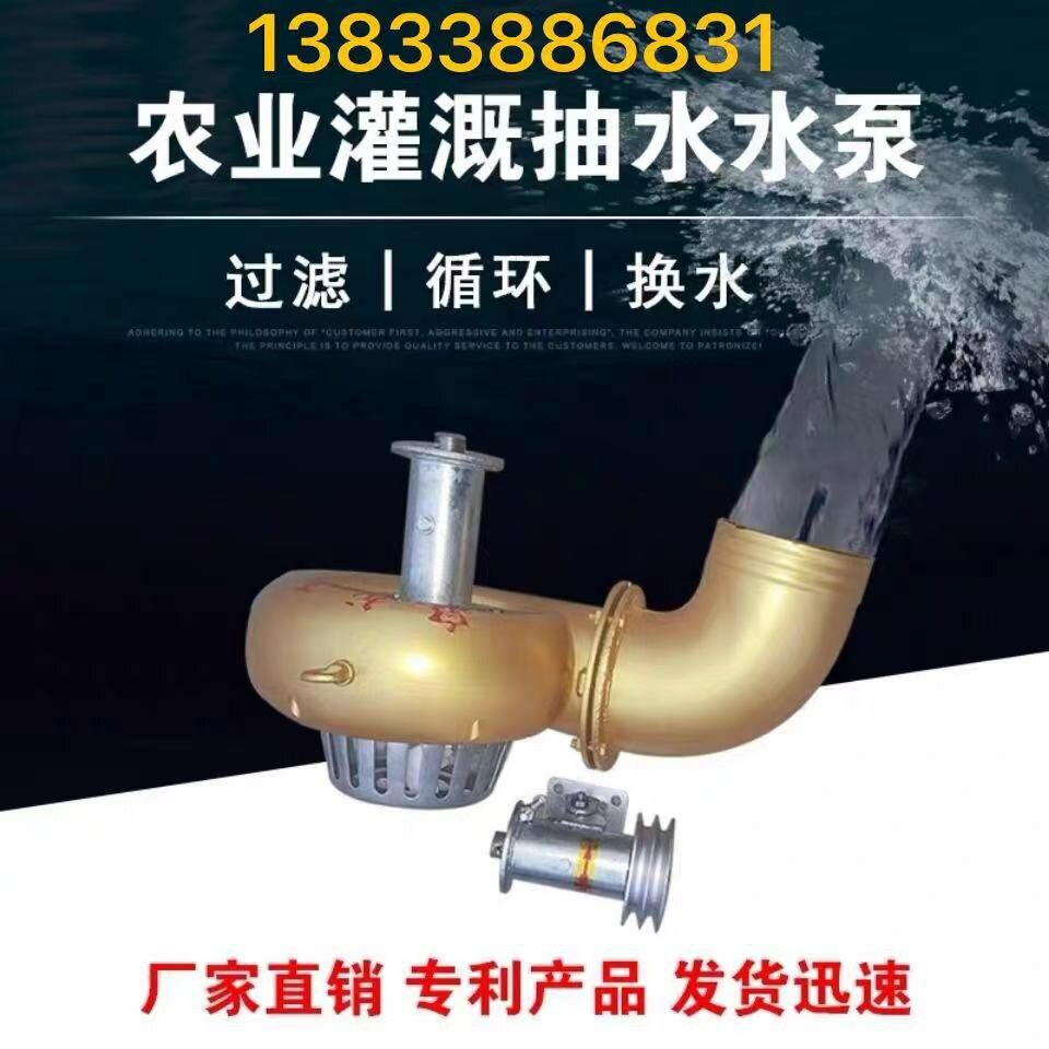 Hengshui City Quanlong Pump Industry Manufacturer Direct Light Defecation Type New 6 Inch Flexible Shaft Water Pump Shaft Flow Pump Agricultural Centrifugal Pump