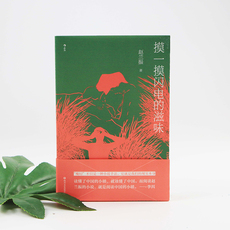 现代小说1919-1949年 后浪正版现货 摸一摸闪电的滋味 赵兰振著 作者行医经历手术过程写实描摹 赵兰振代现代小说文学书籍
