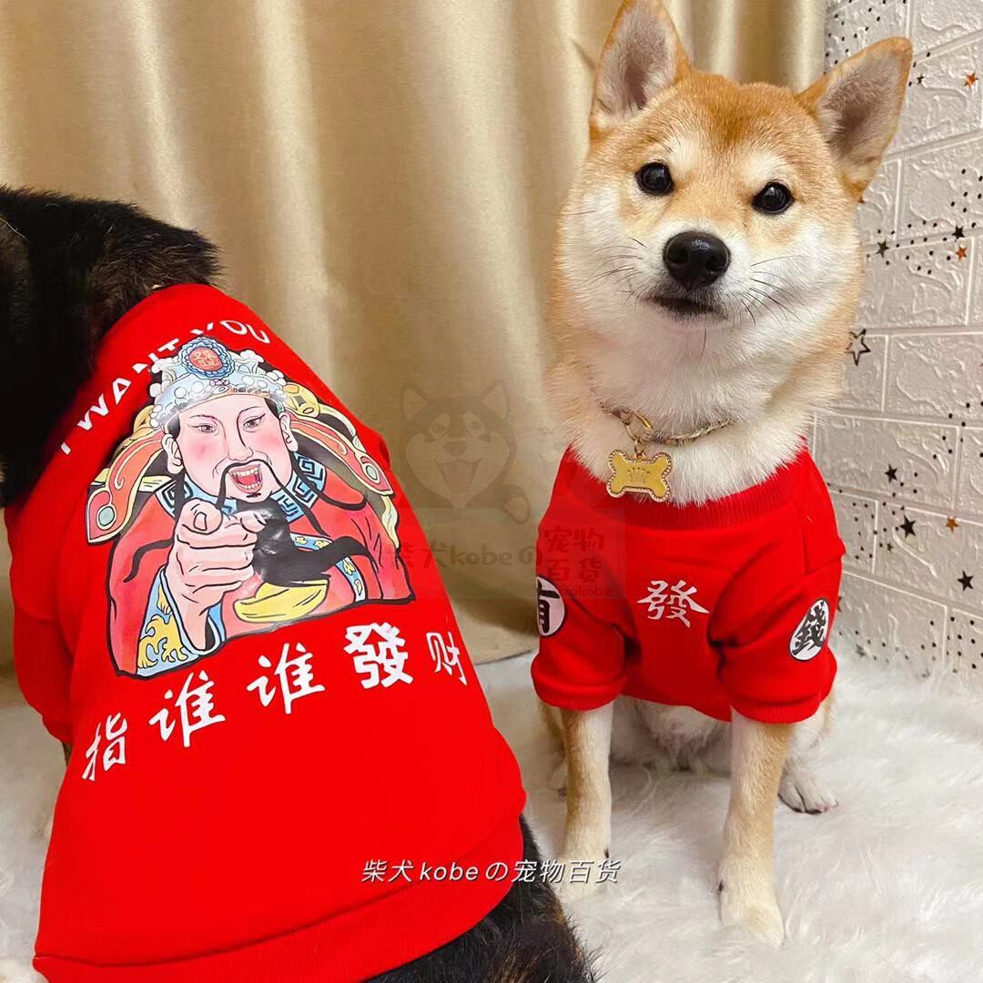 Shiba Inu Dog Clothes New Year's Dress Teddy Schnauzer Pomeranian Corgi Cat Fortune Festive Red Fleece Sweater