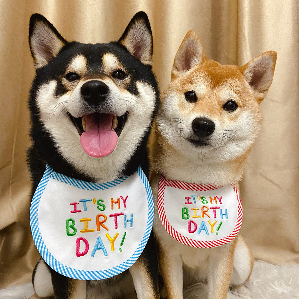 Spot INS hot style Shiba Inu Corgi Korean happy birthday embroidery dog ​​pet cat bib saliva towel