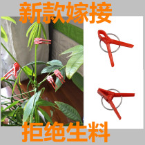 Watermelon grafting special clip Grafting clip Special clip for vegetable general grafting small clip Melon seedling grafting clip