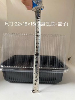 Rectangular pet leaky hole sprout box