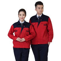 Тибетский синий, скрытое синее плечо