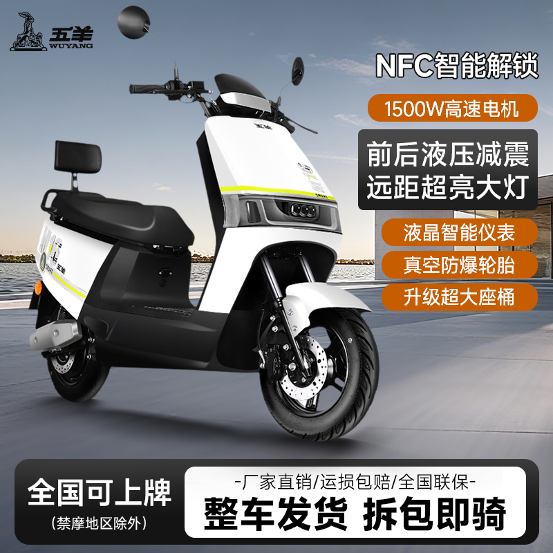 Wuyang Electric Motorcycle High-Speed 72V Long-Distance Champion Delivery Bike with Long Battery Life for Adults