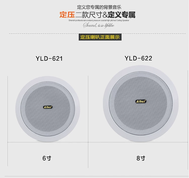AIBUZ YLD-621-622 Ceiling Speaker Ceiling Speaker Suspended Ceiling Embedded Speaker Background Music
