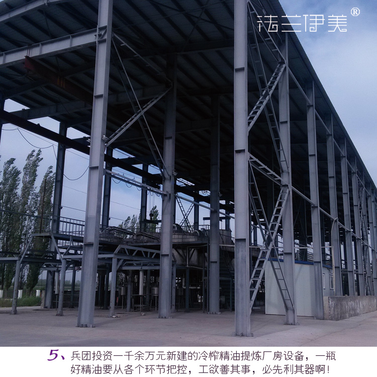 Tinh dầu oải hương lan tỏa chai đất sét mềm hương liệu tinh dầu thơm chai tinh dầu vòng cổ treo đồ trang trí nhỏ mặt dây chuyền nhỏ mong muốn - Tinh dầu điều trị tinh dầu kích mọc tóc