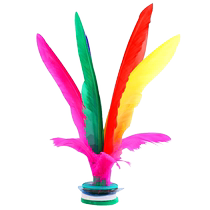 Shuttlecock game special for children and primary school students old-fashioned feather tendon feather goose shuttlecock adult sports fitness chicken feather key