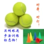 Đào tạo tennis tennis bóng tennis độ đàn hồi cao đào tạo bóng tennis thiết bị đào tạo sức khỏe hi chính hãng ợt tennis tốt nhất 2020