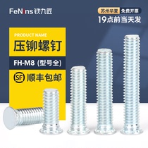 Riveting screws platen screws sheet metal fasteners FH-M8*10 12 15 16 18 20 25 30
