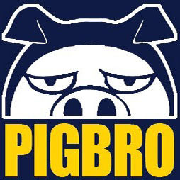 二师兄PIGBRO