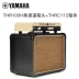 Yamaha Guitar THR100H Đầu ống tương tự Loa chia guitar THRC112 - Loa loa loa tv Loa loa