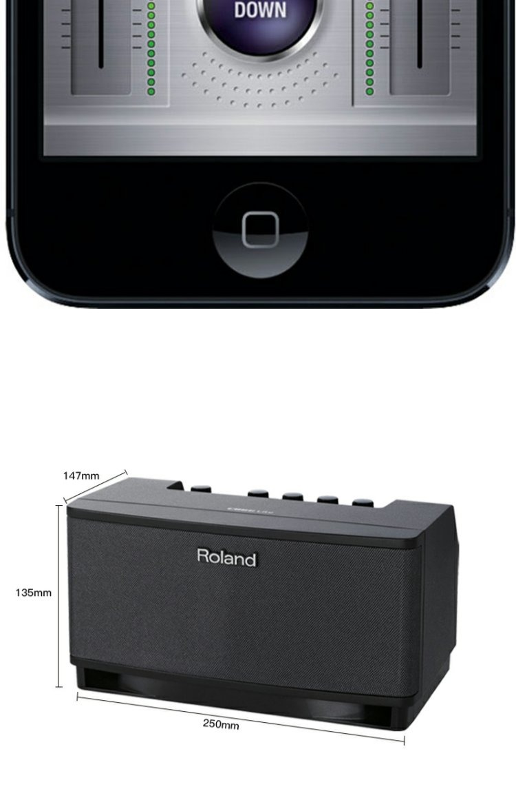 Roland Roland CUBE-Lite cubelite loa điện guitar di động guitar acoustic ballad hộp piano - Loa loa loa bose 301