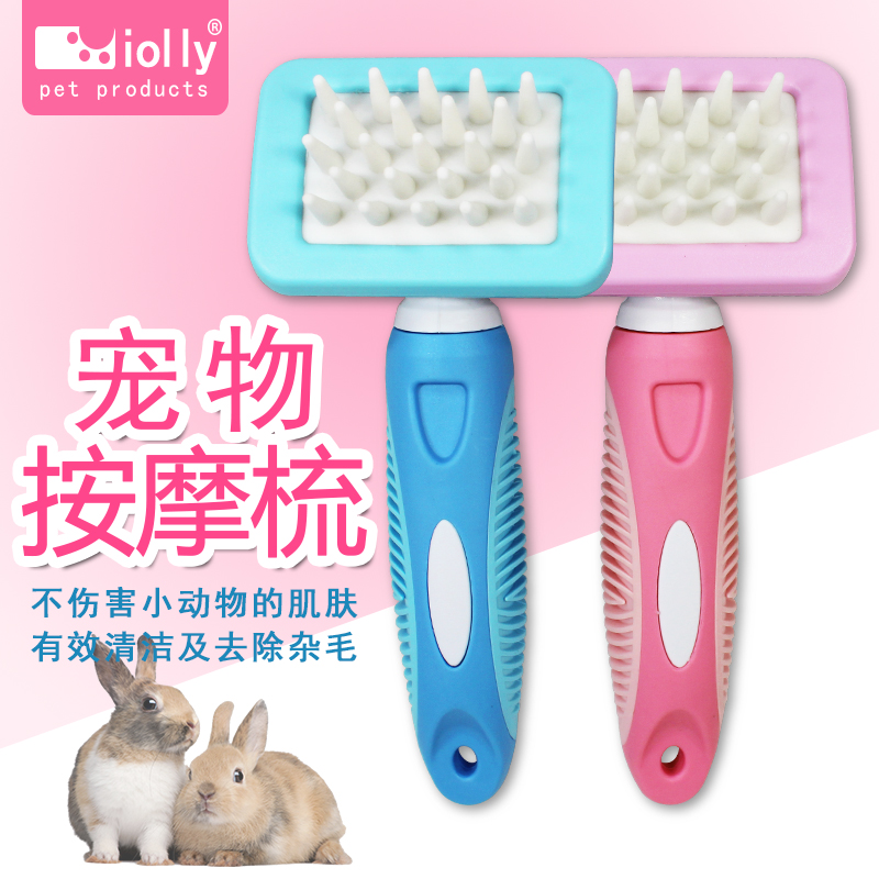 Jolly Zolly small animal by friction Health comb Rabbit Dragon Cat Dutch Pig Pink Blue