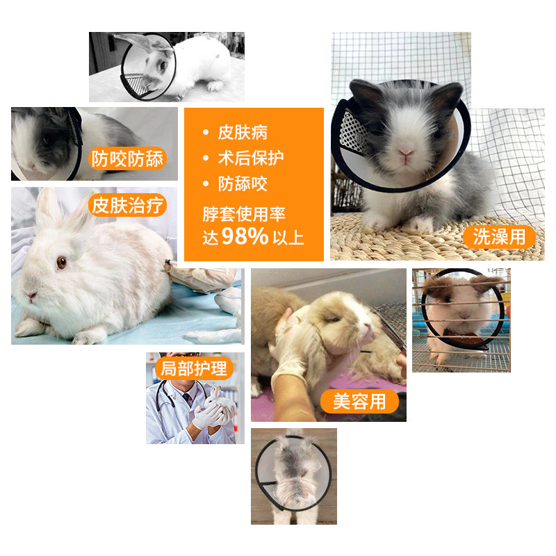 兔子伊丽莎白圈:宠物防咬神器,让你家兔兔告别抓狂模式!-兔兔其他-淘宝好物网