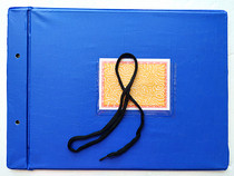 Teaching instrument register Detailed account Instrument ledger General account Instrument room book Teaching instrument bench account Skin