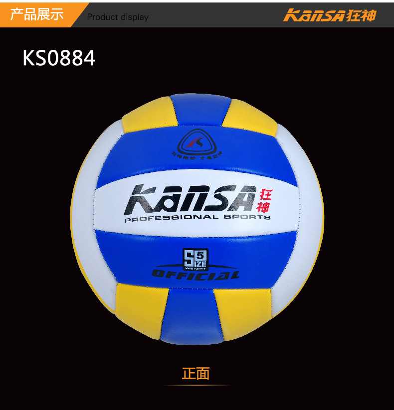 Ballon de volley - Ref 2009917 Image 16