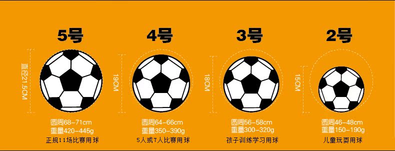 Ballon de football - Ref 7306 Image 13
