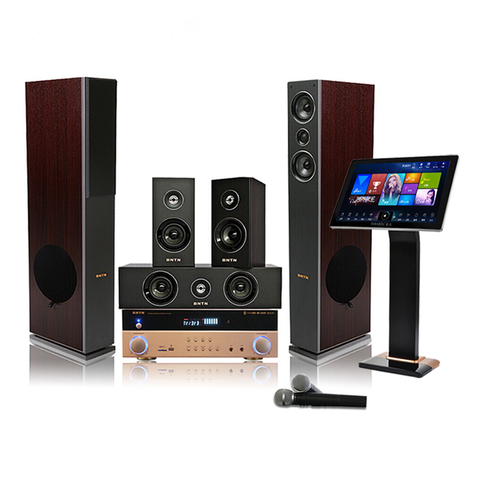 BNTN Wanma Pentium 838 amplifier with fashion No. 1 home theater KTV audio voice karaoke machine set