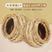 Большой Caowo два подходят для 10 цыплят