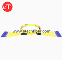 LC-FC-ST Carrier Grade Multi-Core Indoor Covered Cable Branch Cable Customized 5G Computer Room Cabling Single Mode Bundle