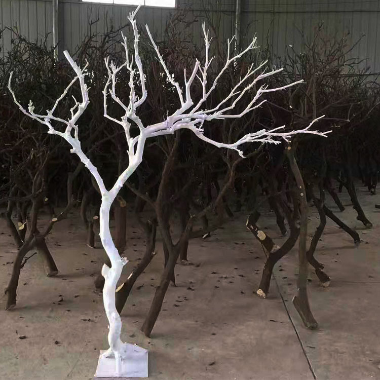 White dry branches dry branches decorative tree background log color dead branches trunk tree decorative tree flower arrangement natural branches