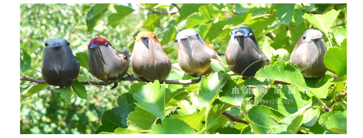 Mô phỏng Trang trí Chim Trang trí Fake Bird True Feather Mô phỏng Sparrow Bọt Feather Bird Trang trí Đạo cụ - Trang trí nội thất xây tường trang trí phòng khách