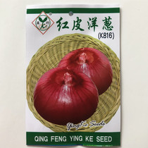 Onion Seed Red Peel Onion Seed Onion Seeds Garlic Vegetables Seeds Taste Sweet-driven Wind chill Chill Eating Patio Balcony Cultivation