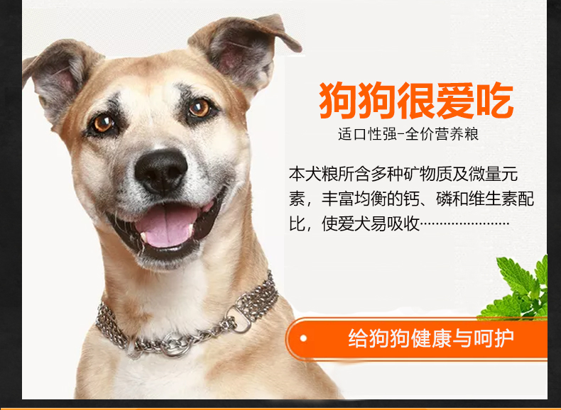 Thức ăn cho chó Aowang 10kg chó trưởng thành bổ sung canxi làm đẹp Teddy Golden Mao Satsuma - Chó Staples hạt royal canin