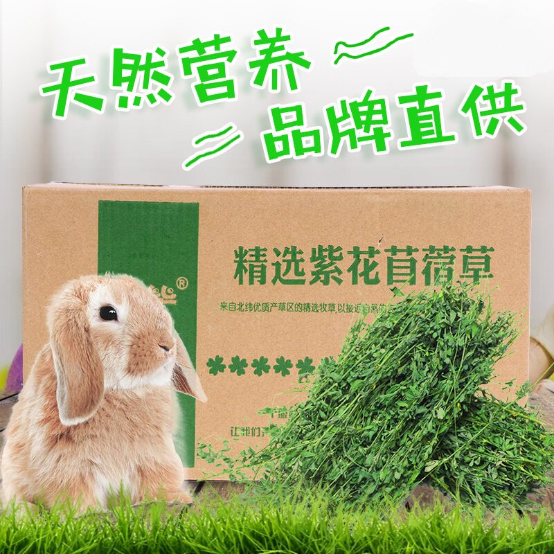 Alfalfa Grass Alfalfa Guinea Pig Chinchilla Hay High Quality Grass Pure Leaf Rabbit Grain Feed Fresh Food Alfalfa Grass