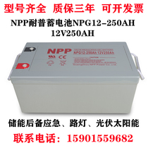 NPP Resistant Colloids Accumulator 12V250AH NPG 12-250 Street Lamp Lighting Photovoltaic Solar NP
