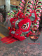 Super Value Popular East China Sea Lion Foshan Lion Head Old Sage Buddha Crane Costume Lion Dance Head Traditional Southern Lion Performance Lion Awakening