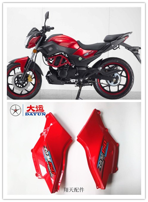 Original Dayun Yang motorcycle accessories DY150-38 29 Xiaoyong 200-3 Jin chisel left and right side side cover outer shell