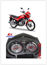 Dayuan Changyang motorcycle accessories 150-39M Tianshi EFI digital LCD mileage speed code gear oil meter