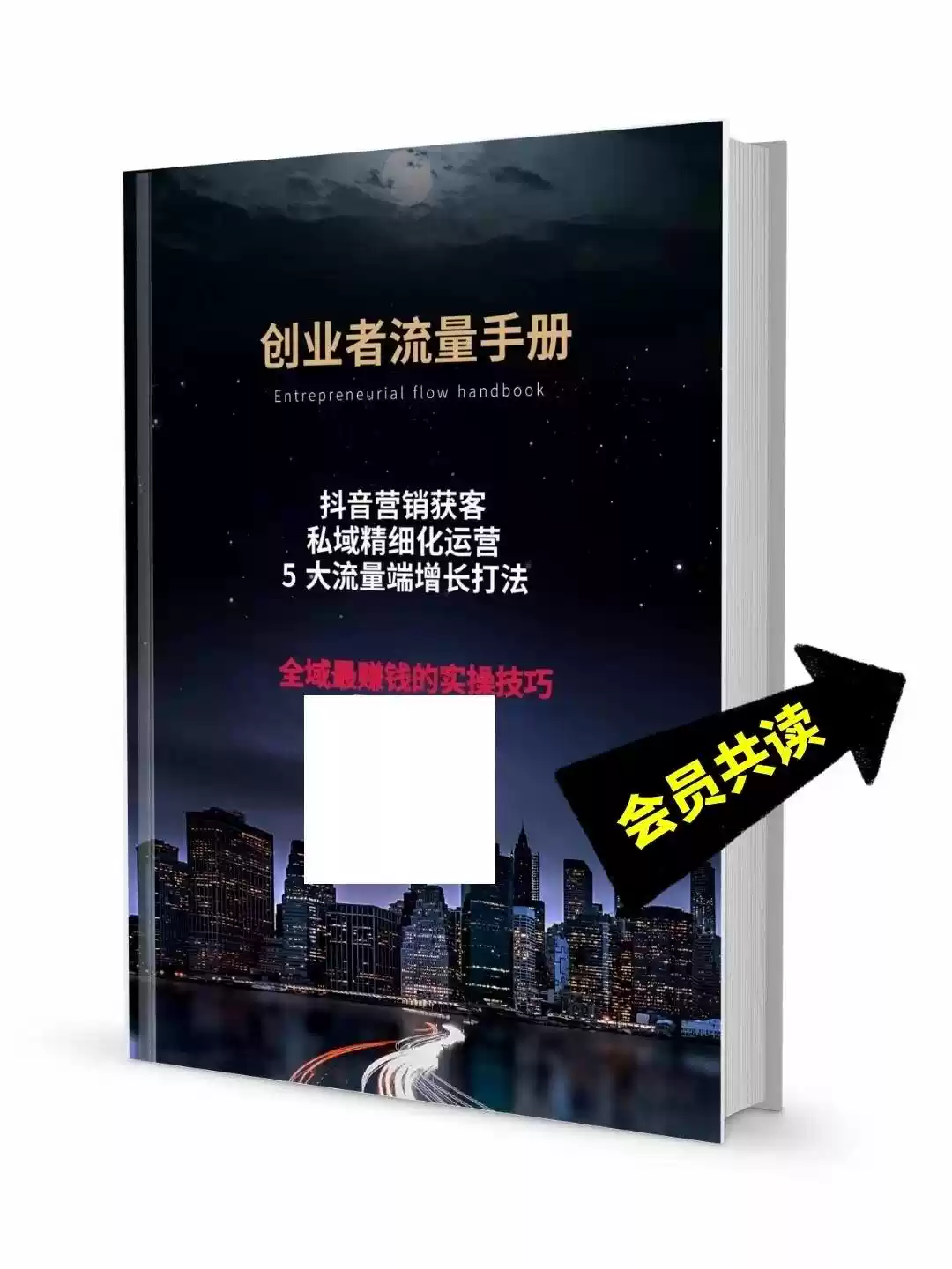 创业者流量手册电子书PDF版下载，全域赚钱的实操技巧营销获客精细化秘籍