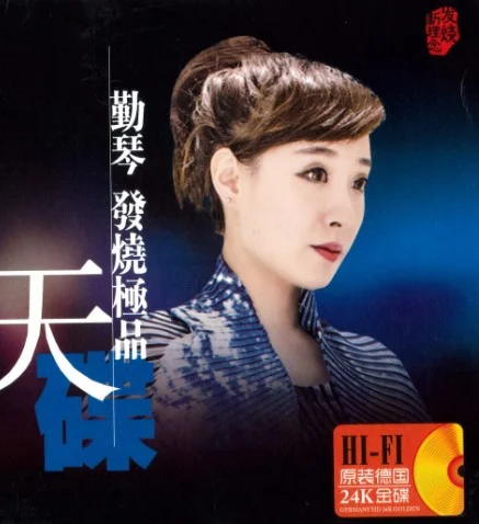 《發燒極品天碟》