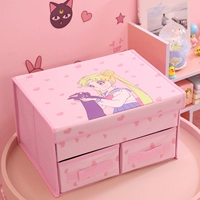 Красивая девушка, держащая коробку для хранения ящика для кошек