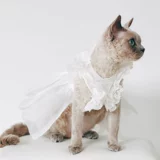 Кошачья ткань