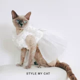 Кошачья ткань