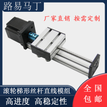 Stepping servo electric motor linear guide slide table module cross screw trapezoidal screw cylinder precision table