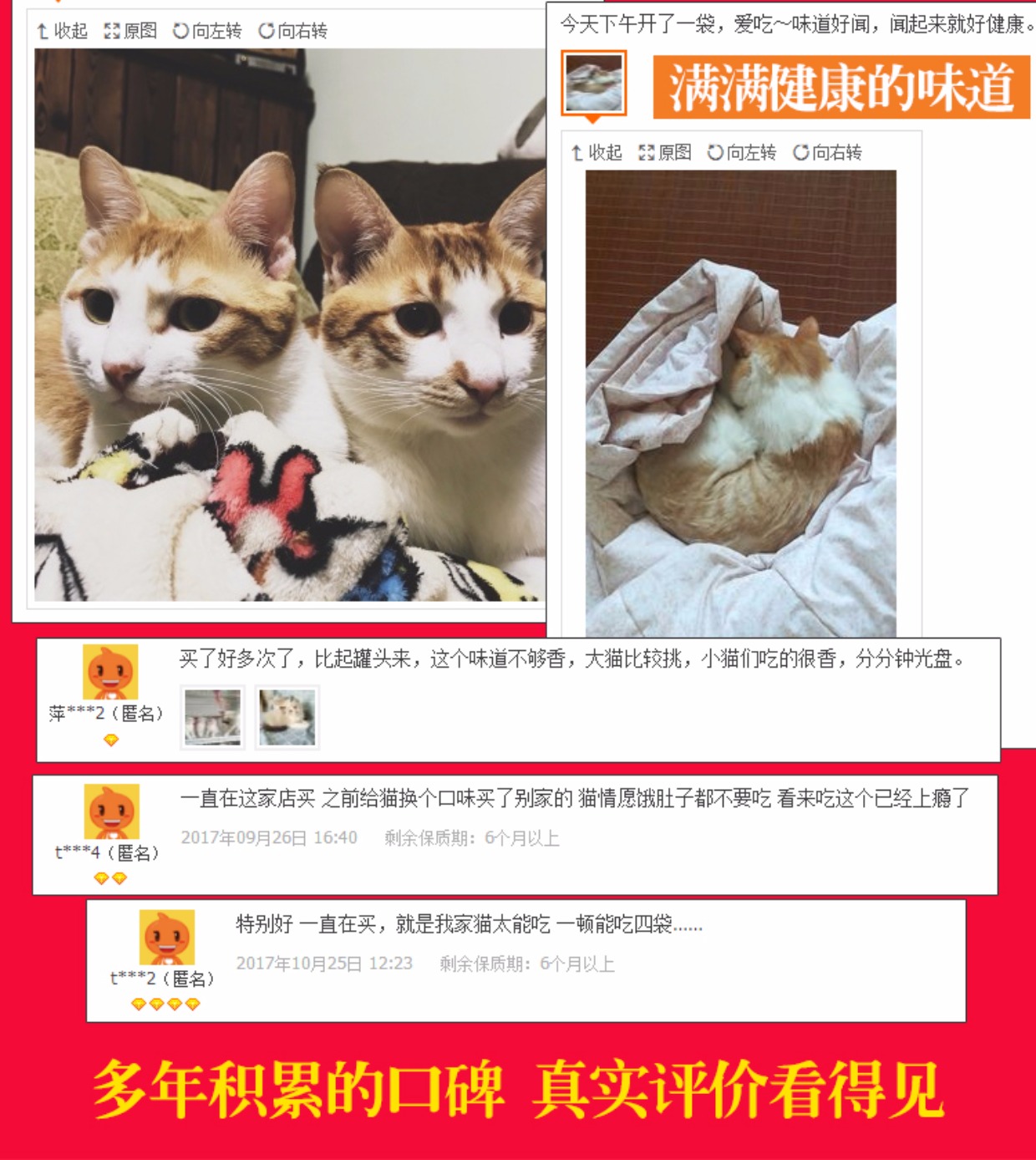 Jinzan Meal Sheriff Gà Thịt bò Rau Làm thủ công Homemade Whole Cat Food Cat Rice Wet Food Tự nhiên Không Thêm 100g - Cat Staples Có nên trộn 2 loại hạt cho mèo