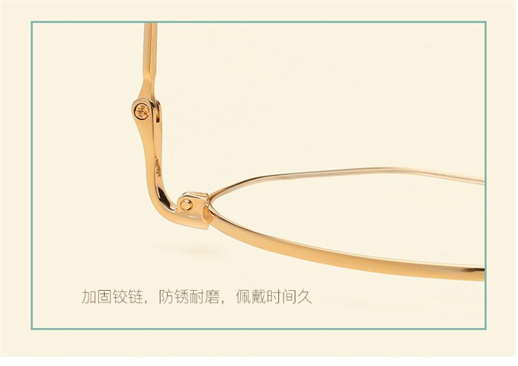 Montures de lunettes en Metal memoire - Ref 3141273 Image 29