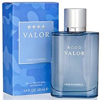 Spot Dana forward mens perfume Dana Valor 100ML EDT