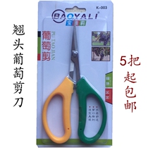 Stainless steel pruning scissors fruit tree scissors bent scissors garden head horticulture orange grape thin fruit branches picking