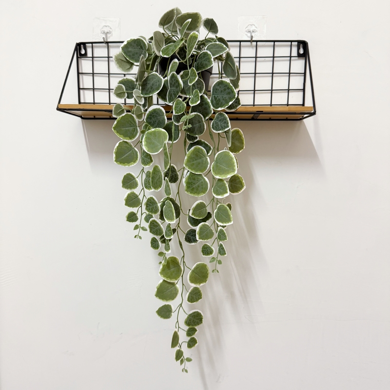 Artificial Eucalyptus Leaf Wall Hanging Vine, Mini Money Leaf Small Vine, Fake Flower Hanging Plant Decoration for Wedding Floral Art Artificial Eucalyptus Leaf Wall Hanging Vine, Mini Money Leaf Small Vine, Fake Flower Hanging Plant Decoration for Wedding Floral Art