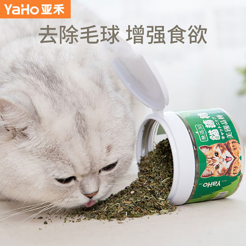 Pet cat grass catnip Garfield blue cat exclude hair ball cat snacks silver gradient ragdoll cat beauty short supplies