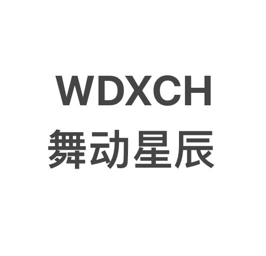 舞动星辰高端轻奢潮鞋