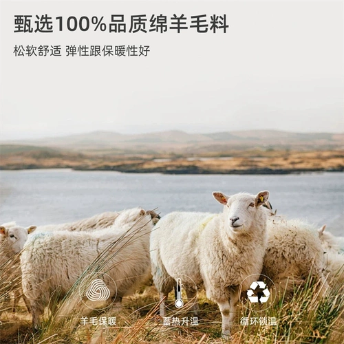 Шерстяной удерживающий тепло демисезонный однотонный свитер, круглый воротник