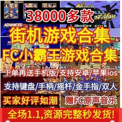 Arcade game collection FC little overlord simulator classic PC computer mobile phone download King of Fighters alloy warhead Street
