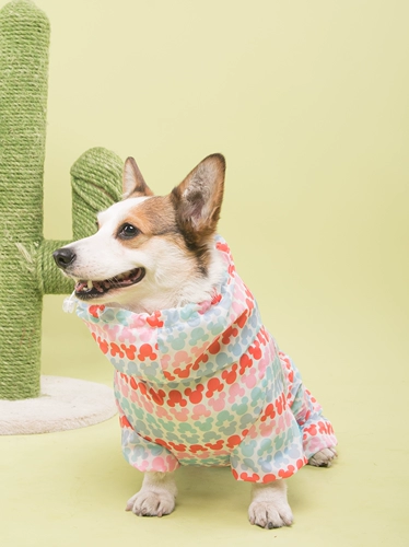 Кратко -капитан/полная упаковка Водонепроницаемое плащ/маленькая клубника милая собака с четырьмя легливыми одежды/выносливость той же модели/corgi